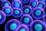 cells2