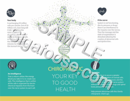 Can You Understand The Value Of Chiropractic?